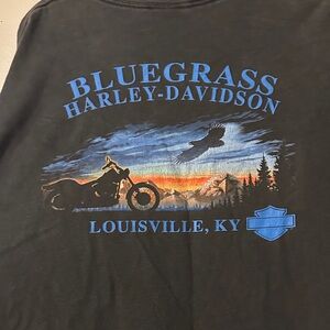 Vintage Harley-Davidson Black and Blue Scenic T-Shirt